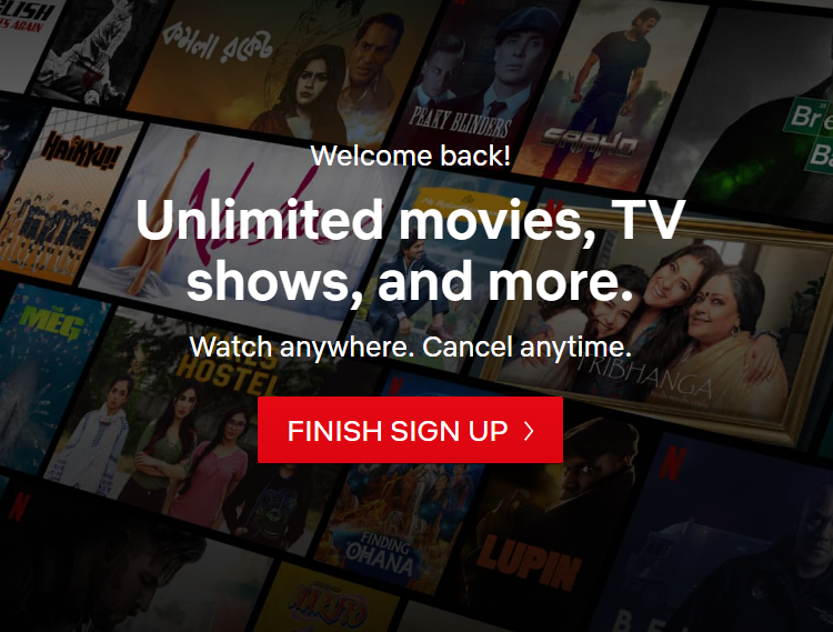 Netflix Account